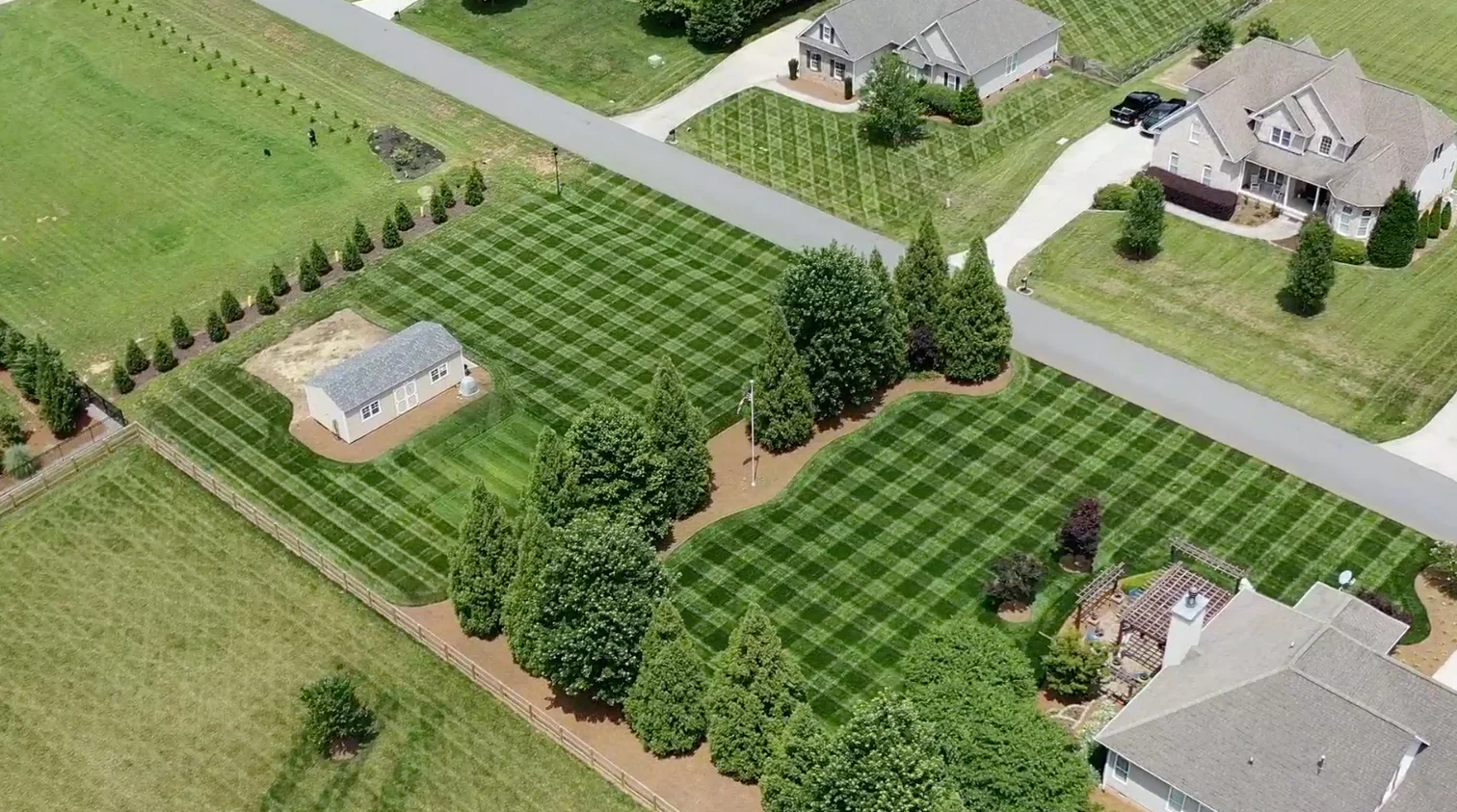 Master Your Perfect Lawn